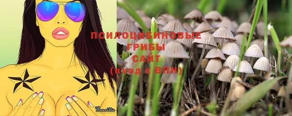 прущие крисы Балабаново