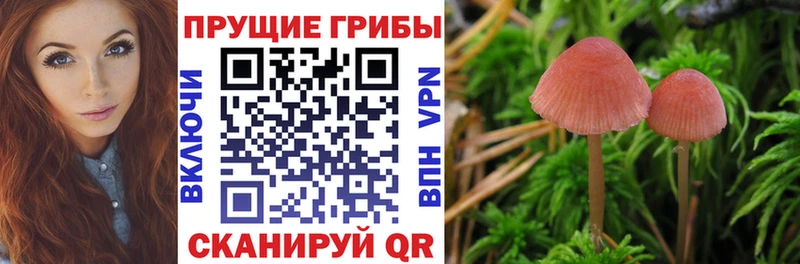 Галлюциногенные грибы ЛСД  MEGA онион  Котельниково  продажа наркотиков 