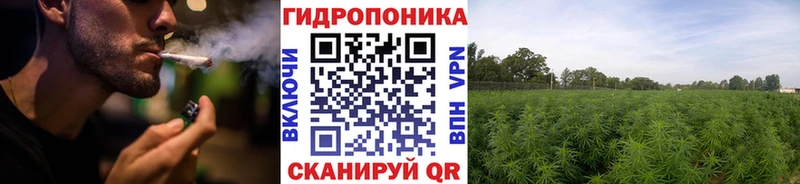 МАРИХУАНА THC 21%  Котельниково 